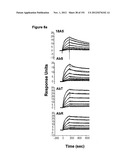 METHODS OF TREATMENT UTILIZIING BINDING PROTEINS OF THE INTERLEUKIN-21     RECEPTOR diagram and image