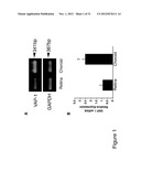 METHODS AND COMPOSITIONS FOR TREATING CONDITIONS ASSOCIATED WITH     ANGIOGENESIS USING A VASCULAR ADHESION PROTEIN-1 (VAP-1) INHIBITOR diagram and image