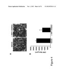 METHODS AND COMPOSITIONS FOR TREATING CONDITIONS ASSOCIATED WITH     ANGIOGENESIS USING A VASCULAR ADHESION PROTEIN-1 (VAP-1) INHIBITOR diagram and image