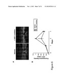 METHODS AND COMPOSITIONS FOR TREATING CONDITIONS ASSOCIATED WITH     ANGIOGENESIS USING A VASCULAR ADHESION PROTEIN-1 (VAP-1) INHIBITOR diagram and image