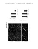 METHODS AND COMPOSITIONS FOR TREATING CONDITIONS ASSOCIATED WITH     ANGIOGENESIS USING A VASCULAR ADHESION PROTEIN-1 (VAP-1) INHIBITOR diagram and image