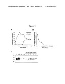 ANTI-FACTOR XI MONOCLONAL ANTIBODIES AND METHODS OF USE THEREOF diagram and image