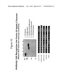 ANTI-FACTOR XI MONOCLONAL ANTIBODIES AND METHODS OF USE THEREOF diagram and image