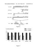 IFN-GAMMA INHIBITORS IN THE TREATMENT OF MOTONEURON DISEASES diagram and image