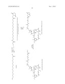 MAYTANSINOIDS AND THE USE OF SAID MAYTANSINOIDS TO PREPARE CONJUGATES WITH     AN ANTIBODY diagram and image