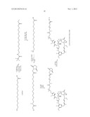 MAYTANSINOIDS AND THE USE OF SAID MAYTANSINOIDS TO PREPARE CONJUGATES WITH     AN ANTIBODY diagram and image