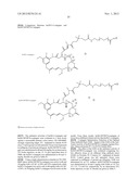 MAYTANSINOIDS AND THE USE OF SAID MAYTANSINOIDS TO PREPARE CONJUGATES WITH     AN ANTIBODY diagram and image