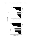 IMMUNOPROTECTION BY ORAL ADMINISTRATION OF RECOMBINANT LACTOCOCCUS LACTIS     MINI-CAPSULES diagram and image