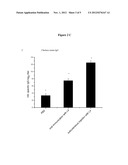 IMMUNOPROTECTION BY ORAL ADMINISTRATION OF RECOMBINANT LACTOCOCCUS LACTIS     MINI-CAPSULES diagram and image