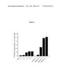 IMMUNOPROTECTION BY ORAL ADMINISTRATION OF RECOMBINANT LACTOCOCCUS LACTIS     MINI-CAPSULES diagram and image