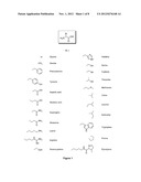 AMINO ACID CONJUGATES OF QUETIAPINE, PROCESS FOR MAKING AND USING THE SAME diagram and image