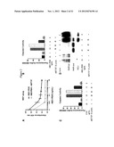 THERAPY WITH A CHIMERIC MOLECULE AND A PRO-APOPTOTIC AGENT diagram and image