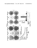 THERAPY WITH A CHIMERIC MOLECULE AND A PRO-APOPTOTIC AGENT diagram and image