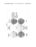 THERAPY WITH A CHIMERIC MOLECULE AND A PRO-APOPTOTIC AGENT diagram and image