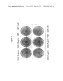 THERAPY WITH A CHIMERIC MOLECULE AND A PRO-APOPTOTIC AGENT diagram and image