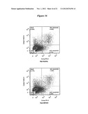 THERAPY WITH A CHIMERIC MOLECULE AND A PRO-APOPTOTIC AGENT diagram and image