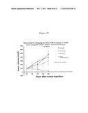 THERAPY WITH A CHIMERIC MOLECULE AND A PRO-APOPTOTIC AGENT diagram and image