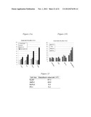 THERAPY WITH A CHIMERIC MOLECULE AND A PRO-APOPTOTIC AGENT diagram and image