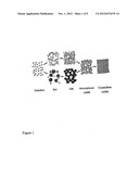 PIEZOELECTRIC FILM diagram and image