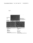 PIEZOELECTRIC FILM diagram and image