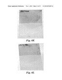 PROTECTIVE COATINGS AND METHODS OF MAKING AND USING THE SAME diagram and image