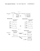 GENOTYPING METHOD diagram and image