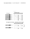 GENOTYPING METHOD diagram and image