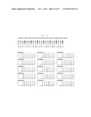 GENOTYPING METHOD diagram and image