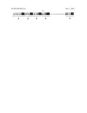 GENOTYPING METHOD diagram and image