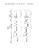 LABEL-FREE SENSING OF PNA-DNA COMPLEXES USING NANOPORES diagram and image