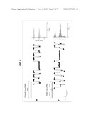 LABEL-FREE SENSING OF PNA-DNA COMPLEXES USING NANOPORES diagram and image