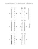 Microfabricated Crossflow Devices and Methods diagram and image