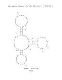 APTAMERS SELECTED AGAINST LIVE S. PYOGENES CELLS diagram and image