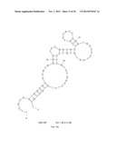 APTAMERS SELECTED AGAINST LIVE S. PYOGENES CELLS diagram and image