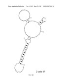 APTAMERS SELECTED AGAINST LIVE S. PYOGENES CELLS diagram and image