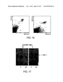 Ligating BDCA-2 Protein for the Purpose of Isolating or Modulating     Dendritic Cells diagram and image