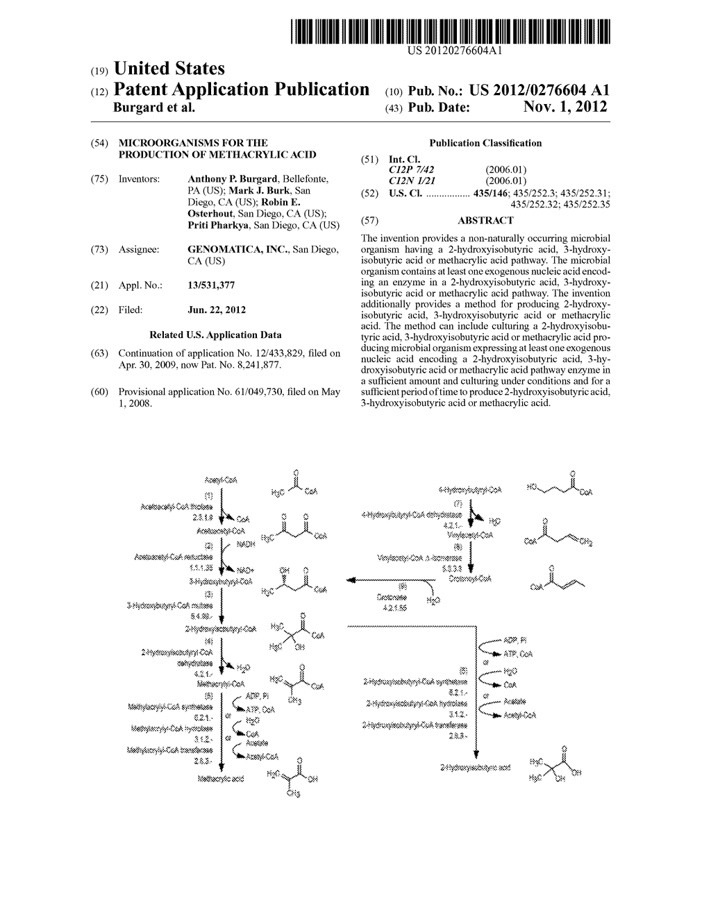 MICROORGANISMS FOR THE PRODUCTION OF METHACRYLIC ACID - diagram, schematic, and image 01