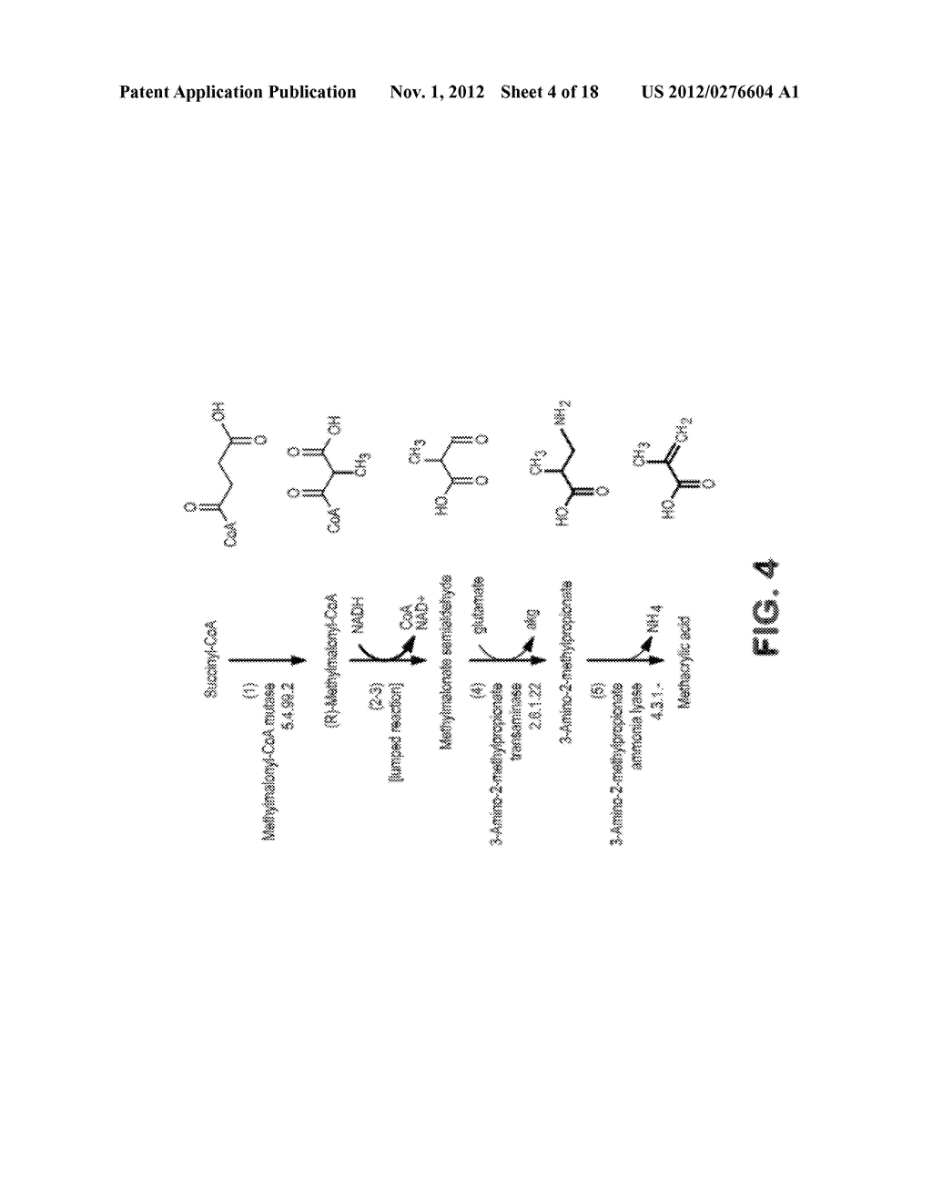 MICROORGANISMS FOR THE PRODUCTION OF METHACRYLIC ACID - diagram, schematic, and image 05