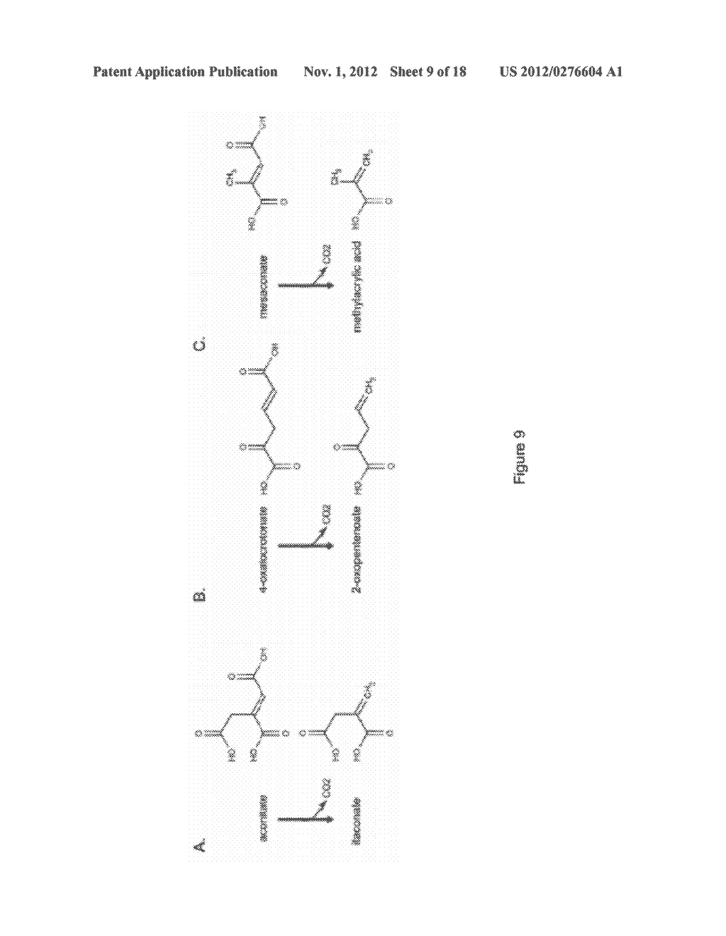 MICROORGANISMS FOR THE PRODUCTION OF METHACRYLIC ACID - diagram, schematic, and image 10