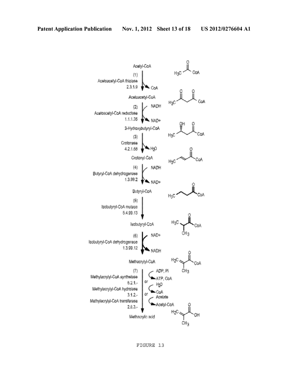 MICROORGANISMS FOR THE PRODUCTION OF METHACRYLIC ACID - diagram, schematic, and image 14