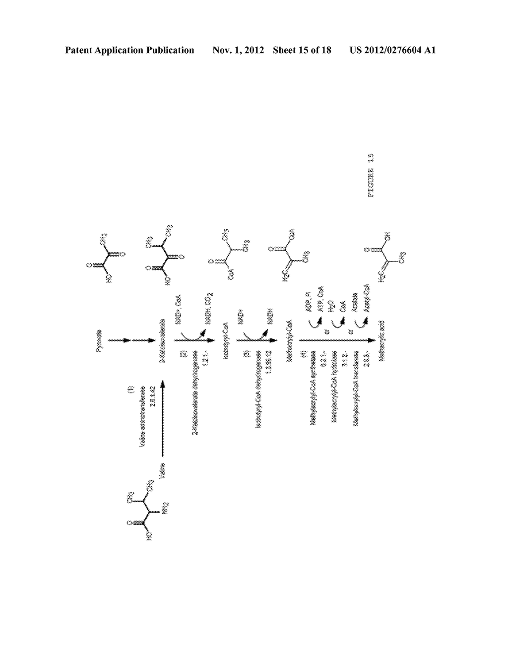 MICROORGANISMS FOR THE PRODUCTION OF METHACRYLIC ACID - diagram, schematic, and image 16