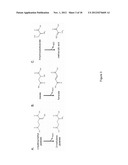 MICROORGANISMS FOR THE PRODUCTION OF METHACRYLIC ACID diagram and image