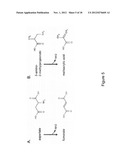 MICROORGANISMS FOR THE PRODUCTION OF METHACRYLIC ACID diagram and image