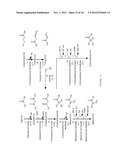 MICROORGANISMS FOR THE PRODUCTION OF METHACRYLIC ACID diagram and image