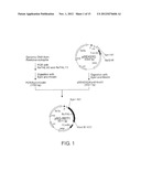 RECOMBINANT MICROORGANISMS WITH 1,3-BUTANEDIOL-PRODUCING FUNCTION AND USES     THEREOF diagram and image