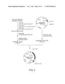 RECOMBINANT MICROORGANISMS WITH 1,3-BUTANEDIOL-PRODUCING FUNCTION AND USES     THEREOF diagram and image