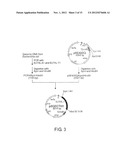 RECOMBINANT MICROORGANISMS WITH 1,3-BUTANEDIOL-PRODUCING FUNCTION AND USES     THEREOF diagram and image