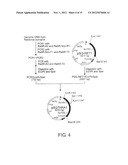 RECOMBINANT MICROORGANISMS WITH 1,3-BUTANEDIOL-PRODUCING FUNCTION AND USES     THEREOF diagram and image