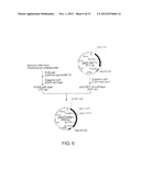 RECOMBINANT MICROORGANISMS WITH 1,3-BUTANEDIOL-PRODUCING FUNCTION AND USES     THEREOF diagram and image