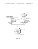 RECOMBINANT MICROORGANISMS WITH 1,3-BUTANEDIOL-PRODUCING FUNCTION AND USES     THEREOF diagram and image